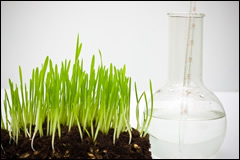 agribusiness