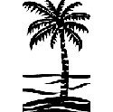 palm tree