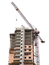 crane