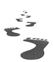 carbon footprint